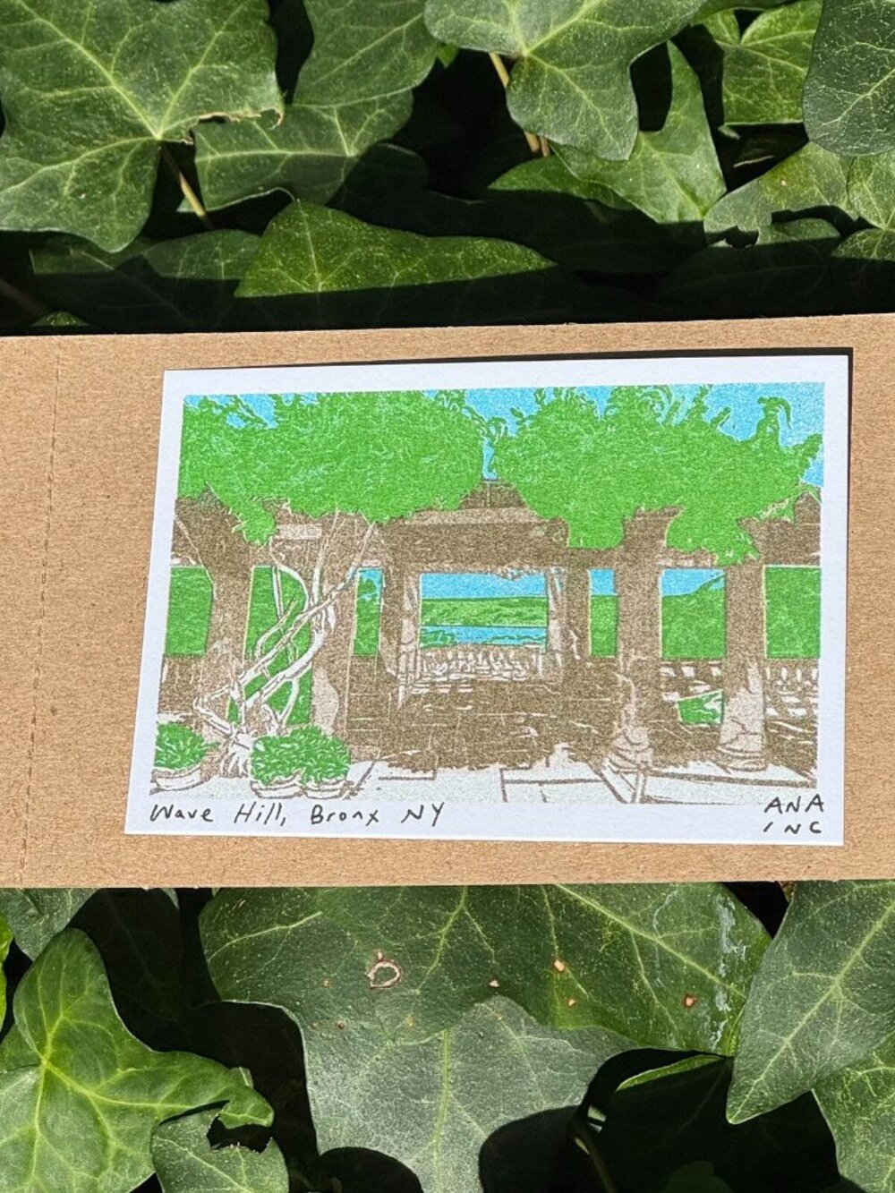 Ana Inciardi Wave Hill Bronx NY Mini Art Print New Unframed